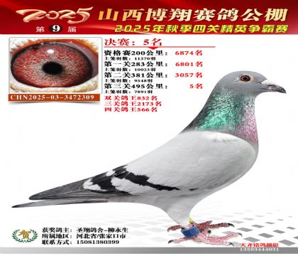 山西博翔决赛5名