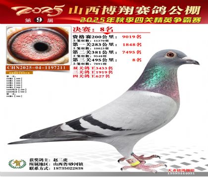 山西博翔决赛8名