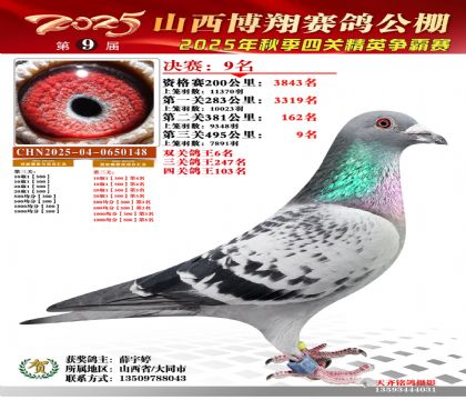 山西博翔决赛9名(双关鸽王6名)