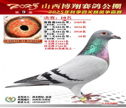 山西博翔决赛10名