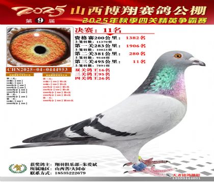 山西博翔决赛11名