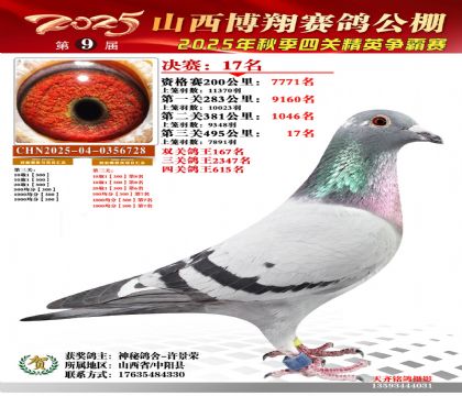 山西博翔决赛17名