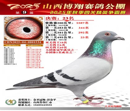 山西博翔决赛23名(三关鸽王6名)