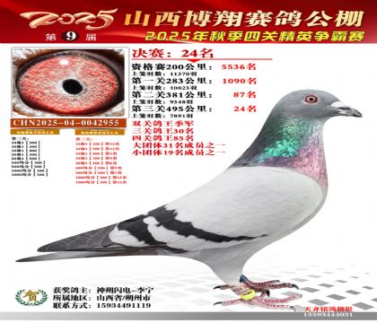 山西博翔决赛24名(双关鸽王季军)