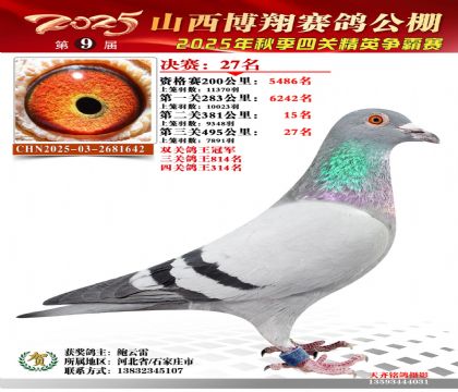 山西博翔决赛27名(双关鸽王冠军)