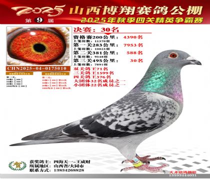 山西博翔决赛30名