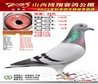 山西博翔决赛54名(双关鸽王5名)