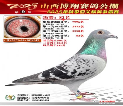 山西博翔决赛82名