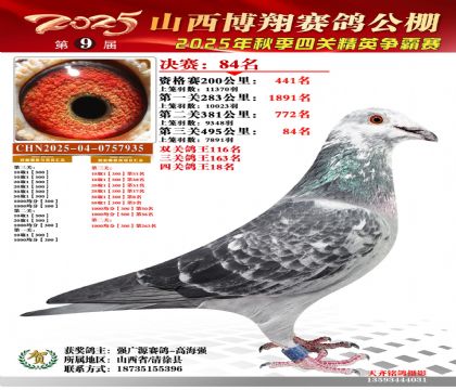 山西博翔决赛84名