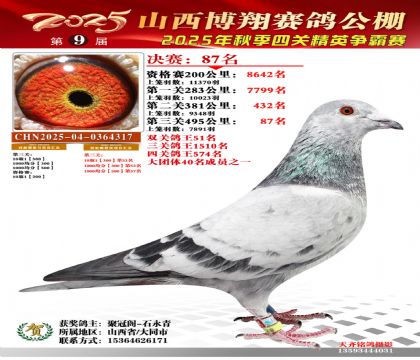 山西博翔决赛87名