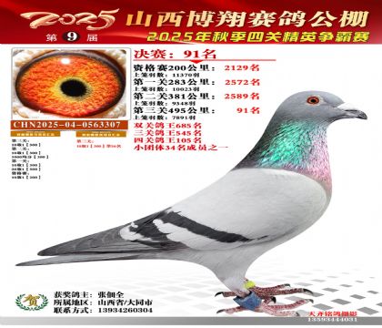 山西博翔决赛91名