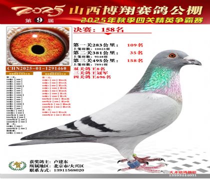 山西博翔决赛158名(双关8名三关鸽王冠军)