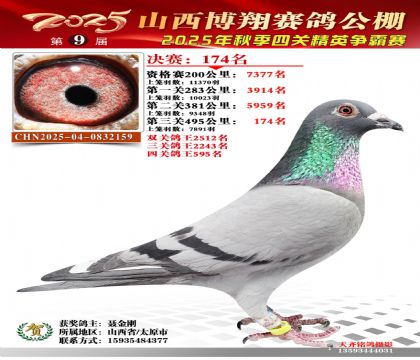 山西博翔决赛174名