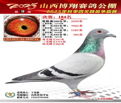 山西博翔决赛184名