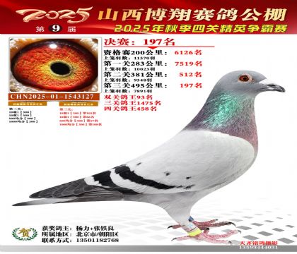 山西博翔决赛197名