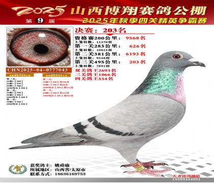 山西博翔决赛203名