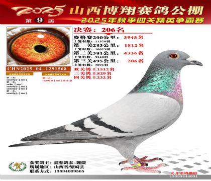 山西博翔决赛206名