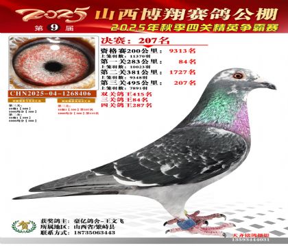 山西博翔决赛207名