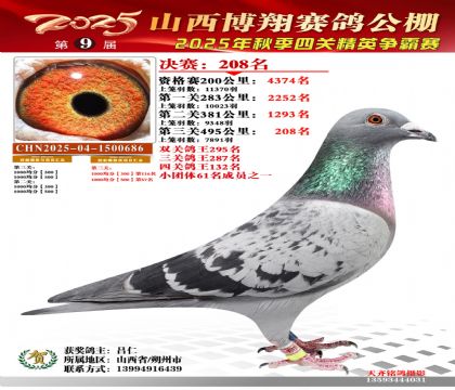 山西博翔决赛208名