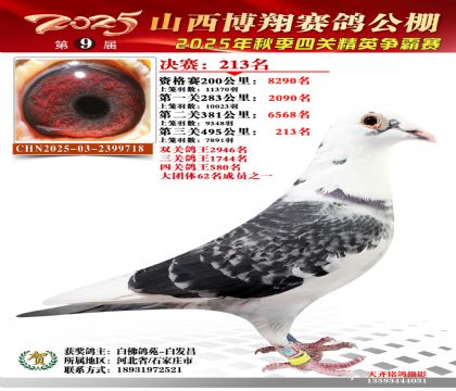 山西博翔决赛213名