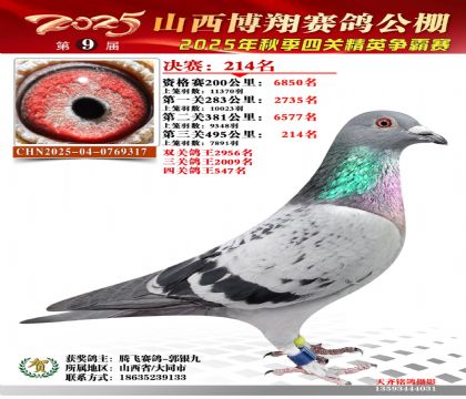 山西博翔决赛214名