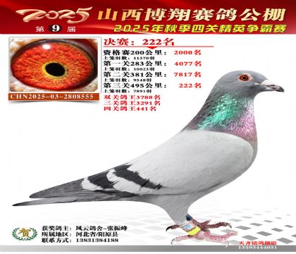 山西博翔决赛222名