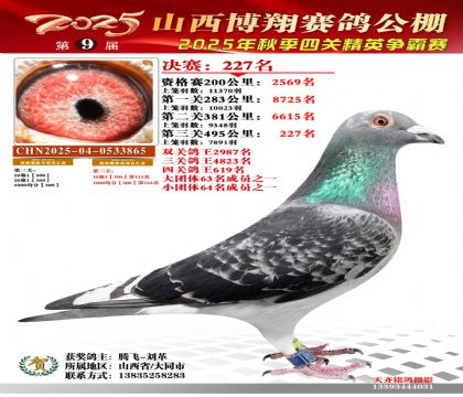 山西博翔决赛227名