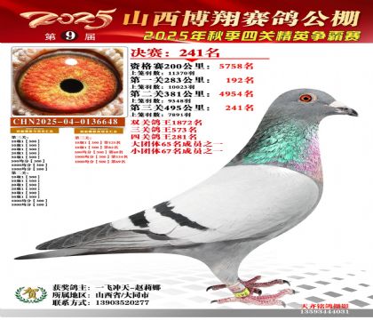 山西博翔决赛241名