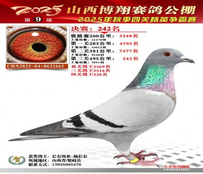 山西博翔决赛242名