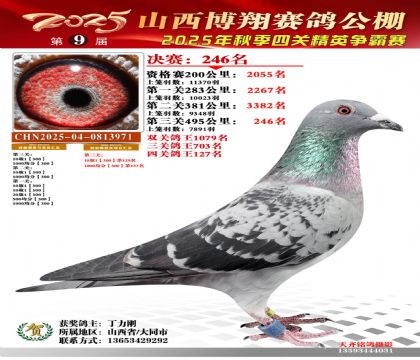 山西博翔决赛246名