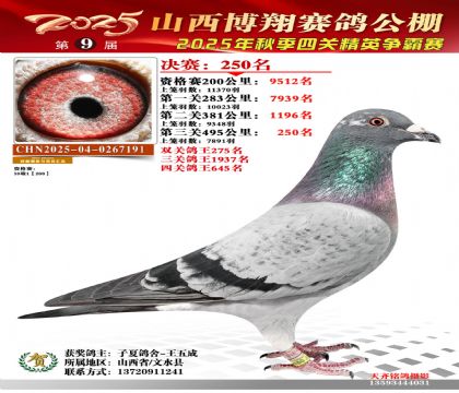 山西博翔决赛250名