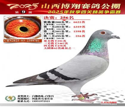 山西博翔决赛256名