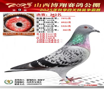 山西博翔决赛262名