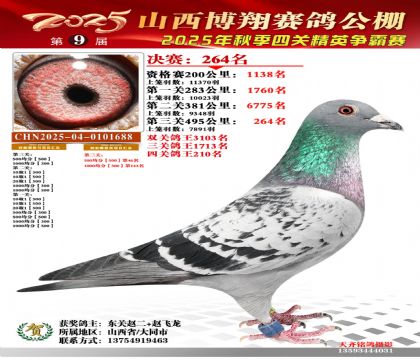 山西博翔决赛264名