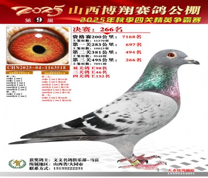 山西博翔决赛266名