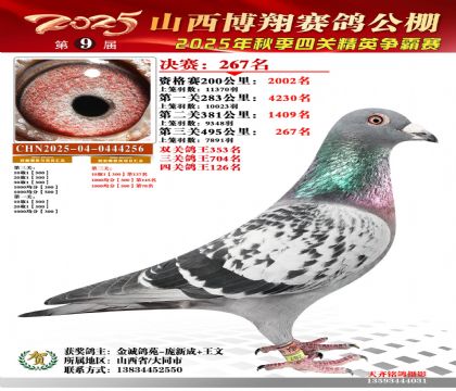 山西博翔决赛267名