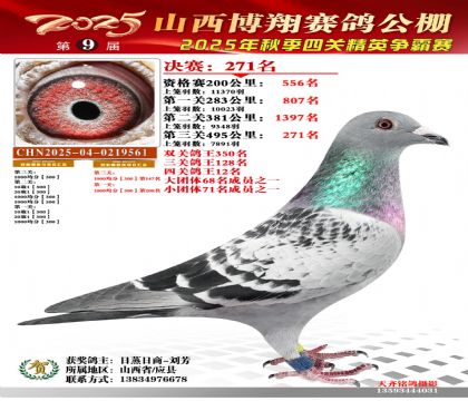 山西博翔决赛271名