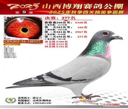 山西博翔决赛277名