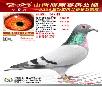 山西博翔决赛281名