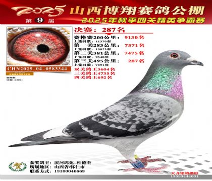 山西博翔决赛287名