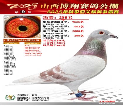 山西博翔决赛288名