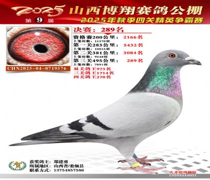 山西博翔决赛289名