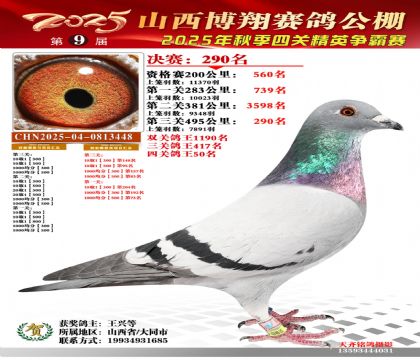 山西博翔决赛290名