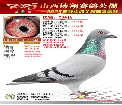 山西博翔决赛294名