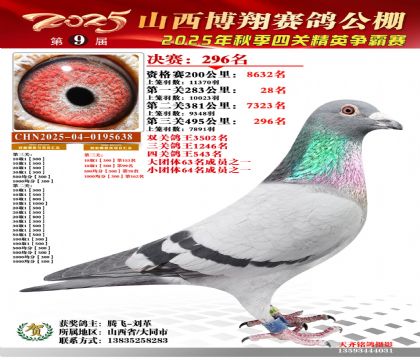 山西博翔决赛296名