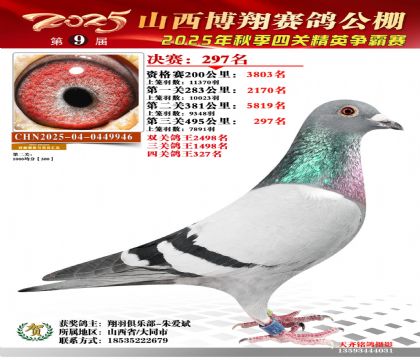 山西博翔决赛297名