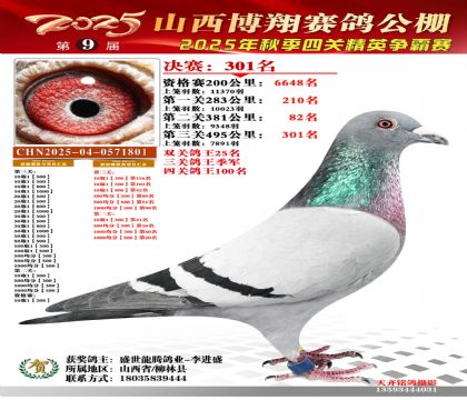 山西博翔决赛301名(三关鸽王季军)