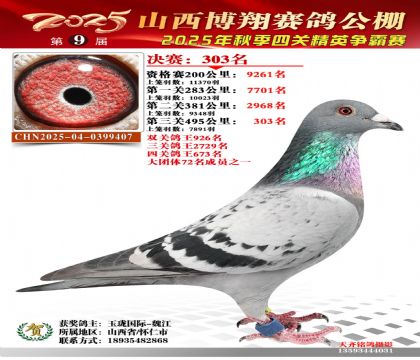 山西博翔决赛303名