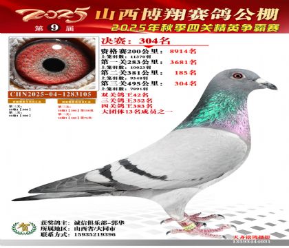 山西博翔决赛304名