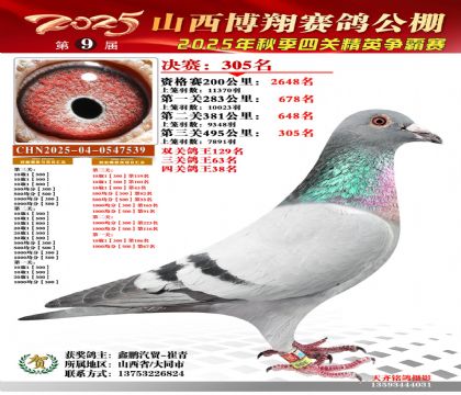 山西博翔决赛305名